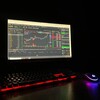 Whale of Crypto
